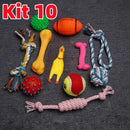 Kit com 10 brinquedos antiestresse para filhotes