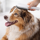 Escova para Gatos e Cães Removedor De Pelos